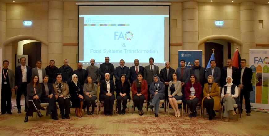 FAO, Agriculture Ministry announce two projects to boost agricultural sector